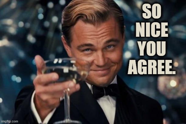 Leonardo Dicaprio Cheers Meme | SO NICE YOU AGREE. | image tagged in memes,leonardo dicaprio cheers | made w/ Imgflip meme maker