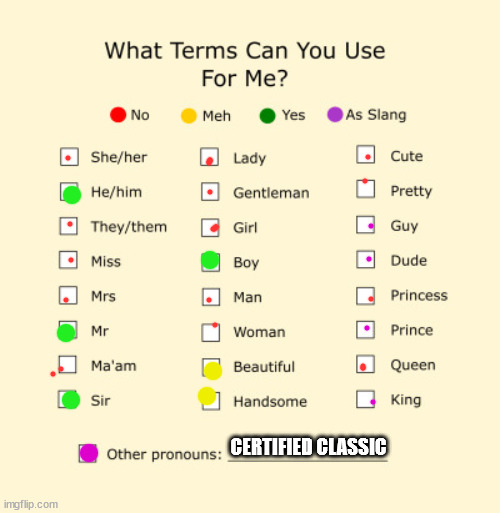 Pronouns Sheet | CERTIFIED CLASSIC | image tagged in pronouns sheet | made w/ Imgflip meme maker