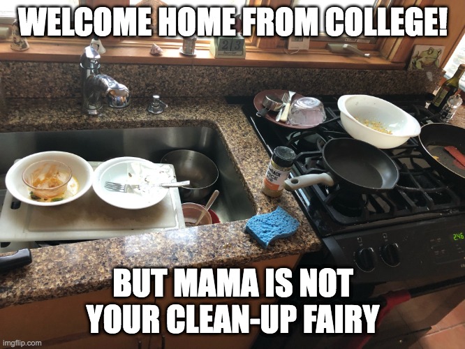 messy kitchen sink | WELCOME HOME FROM COLLEGE! BUT MAMA IS NOT YOUR CLEAN-UP FAIRY | image tagged in lazy college senior,college,parenthood,teenagers,messy,kitchen nightmares | made w/ Imgflip meme maker