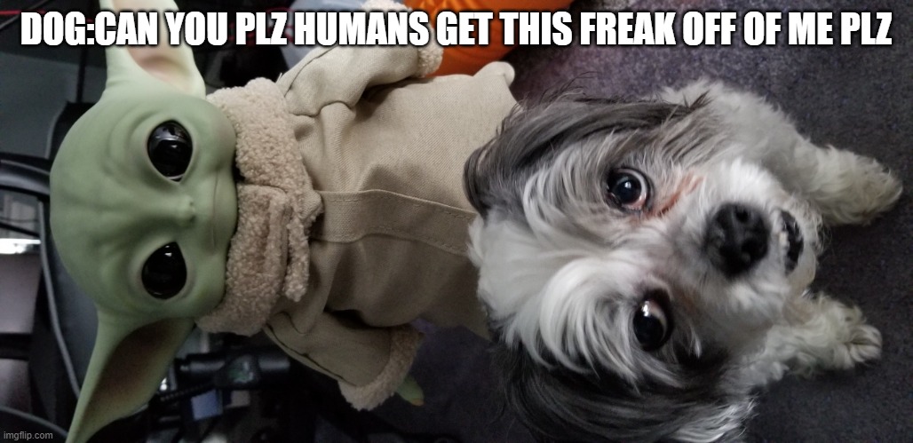 riding dog | DOG:CAN YOU PLZ HUMANS GET THIS FREAK OFF OF ME PLZ | image tagged in riding dog | made w/ Imgflip meme maker