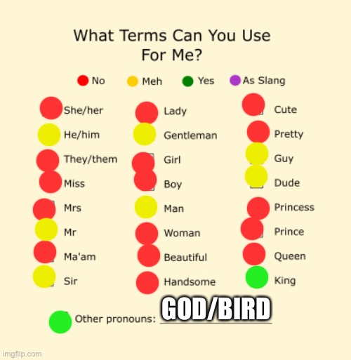 Pronouns Sheet | GOD/BIRD | image tagged in pronouns sheet | made w/ Imgflip meme maker