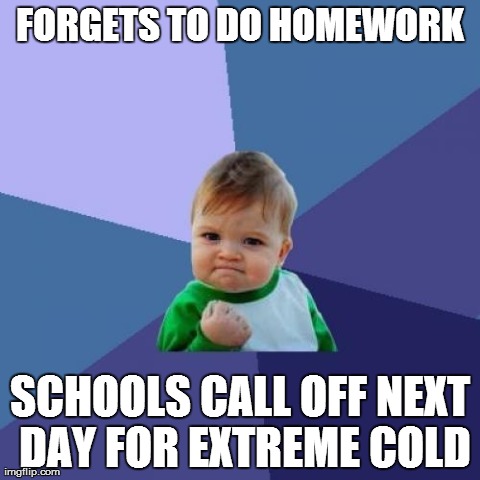 Why I love Minnesota | FORGETS TO DO HOMEWORK SCHOOLS CALL OFF NEXT DAY FOR EXTREME COLD | image tagged in memes,success kid | made w/ Imgflip meme maker
