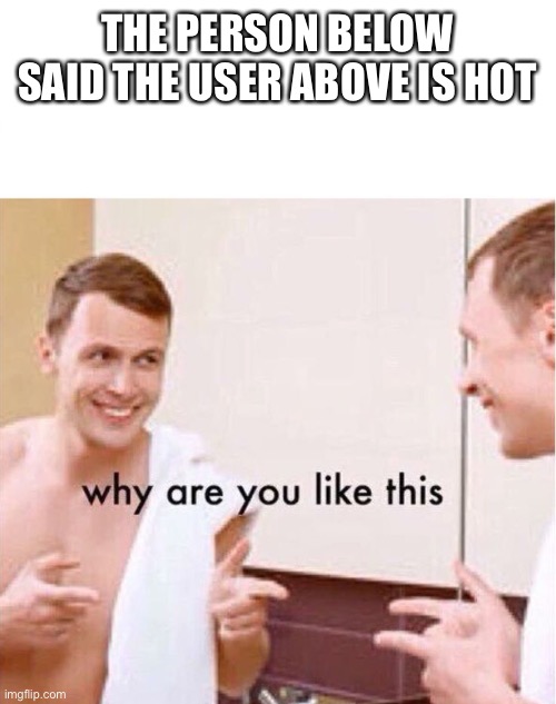 why are you like this | THE PERSON BELOW SAID THE USER ABOVE IS HOT | image tagged in why are you like this | made w/ Imgflip meme maker