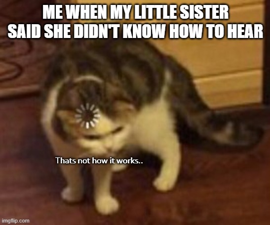 Loading cat | ME WHEN MY LITTLE SISTER SAID SHE DIDN'T KNOW HOW TO HEAR; Thats not how it works.. | image tagged in loading cat | made w/ Imgflip meme maker