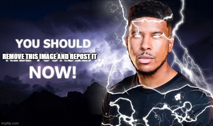 you should | REMOVE THIS IMAGE AND REPOST IT | image tagged in you should | made w/ Imgflip meme maker