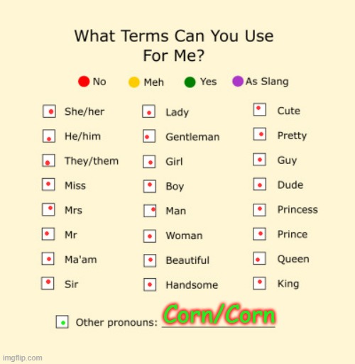 Pronouns Sheet | Corn/Corn | image tagged in pronouns sheet | made w/ Imgflip meme maker