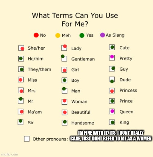 Pronouns Sheet | IM FINE WITH IT/ITS, I DONT REALLY CARE, JUST DONT REFER TO ME AS A WOMEN | image tagged in pronouns sheet | made w/ Imgflip meme maker