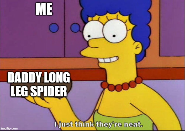 yes i do pick them up | ME; DADDY LONG LEG SPIDER | image tagged in i just think they're neat | made w/ Imgflip meme maker