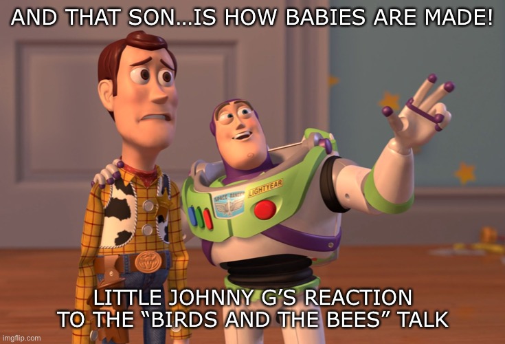 Birds and bees | AND THAT SON…IS HOW BABIES ARE MADE! LITTLE JOHNNY G’S REACTION TO THE “BIRDS AND THE BEES” TALK | image tagged in memes,x x everywhere | made w/ Imgflip meme maker