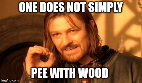 One Does Not Simply Meme | ONE DOES NOT SIMPLY PEE WITH WOOD | image tagged in memes,one does not simply | made w/ Imgflip meme maker