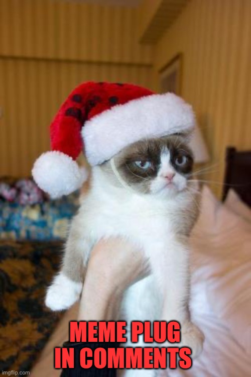 Meme plug in comments https://imgflip.com/i/5yxkpm | MEME PLUG IN COMMENTS | image tagged in memes,grumpy cat christmas,grumpy cat | made w/ Imgflip meme maker
