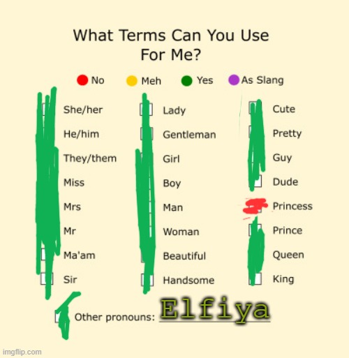balls | Elfiya | image tagged in pronouns sheet | made w/ Imgflip meme maker