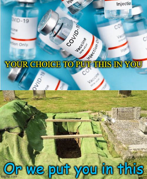 Put in or put in. | YOUR CHOICE TO PUT THIS IN YOU; Or we put you in this | image tagged in covid vaccine,grave,antivax,tyranny,patriots,death | made w/ Imgflip meme maker