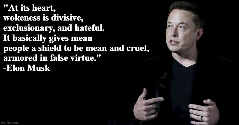 And who are the alleged "woke" people? | "At its heart, wokeness is divisive, exclusionary, and hateful. It basically gives mean people a shield to be mean and cruel, 
armored in false virtue."
-Elon Musk | image tagged in elon musk,liberals,liberal logic,democrats | made w/ Imgflip meme maker