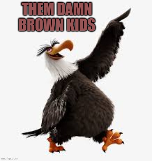 angry birds eagle | THEM DAMN BROWN KIDS | image tagged in angry birds eagle | made w/ Imgflip meme maker