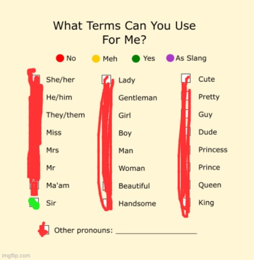 Sir shady | image tagged in pronouns sheet | made w/ Imgflip meme maker