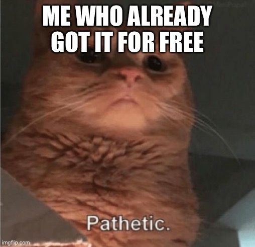 Pathetic Cat | ME WHO ALREADY GOT IT FOR FREE | image tagged in pathetic cat | made w/ Imgflip meme maker