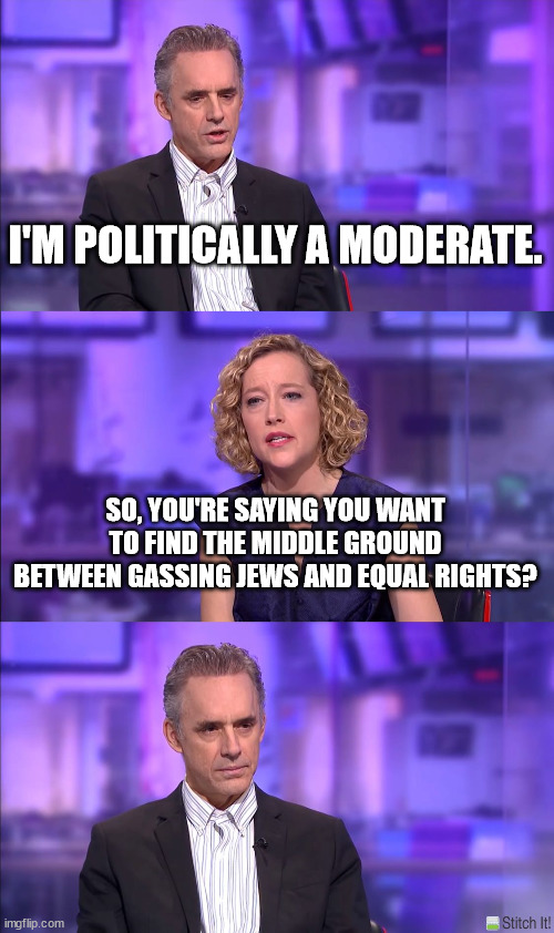 Cathy Newman | I'M POLITICALLY A MODERATE. SO, YOU'RE SAYING YOU WANT TO FIND THE MIDDLE GROUND BETWEEN GASSING JEWS AND EQUAL RIGHTS? | image tagged in cathy newman | made w/ Imgflip meme maker
