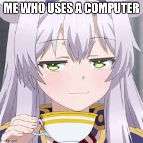 smug anime face | ME WHO USES A COMPUTER | image tagged in smug anime face | made w/ Imgflip meme maker