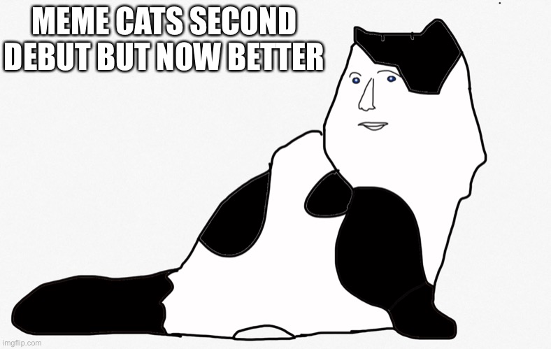 Meme cats second debut |  MEME CATS SECOND DEBUT BUT NOW BETTER | image tagged in meme cat 2 0,meme man,memes,cat | made w/ Imgflip meme maker
