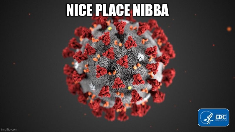 Covid 19 | NICE PLACE NIBBA | image tagged in covid 19 | made w/ Imgflip meme maker