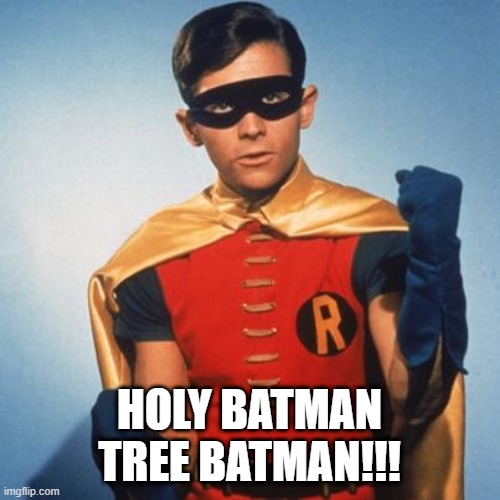 Robin | HOLY BATMAN TREE BATMAN!!! | image tagged in robin | made w/ Imgflip meme maker