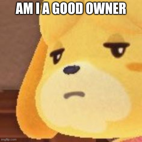 .-. | AM I A GOOD OWNER | image tagged in - | made w/ Imgflip meme maker