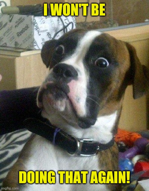Surprised Dog | I WON'T BE DOING THAT AGAIN! | image tagged in surprised dog | made w/ Imgflip meme maker