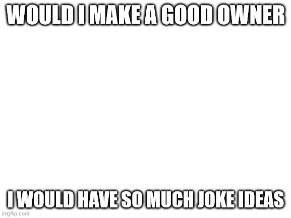 Blank White Template | WOULD I MAKE A GOOD OWNER; I WOULD HAVE SO MUCH JOKE IDEAS | image tagged in blank white template | made w/ Imgflip meme maker