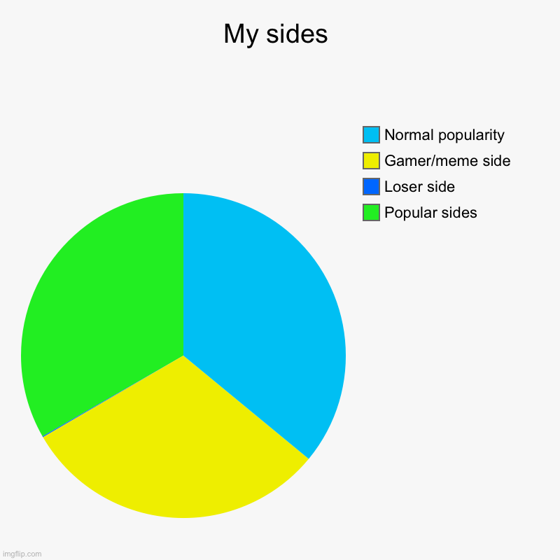 My sides | Popular sides, Loser side, Gamer/meme side, Normal popularity | image tagged in charts,pie charts | made w/ Imgflip chart maker