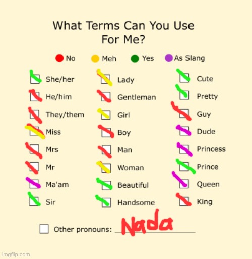 Mine | image tagged in pronouns sheet | made w/ Imgflip meme maker