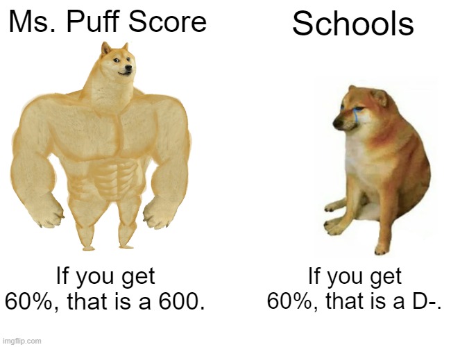 hehe | Ms. Puff Score; Schools; If you get 60%, that is a 600. If you get 60%, that is a D-. | image tagged in memes,buff doge vs cheems,you need 600 to pass,oh wow are you actually reading these tags | made w/ Imgflip meme maker