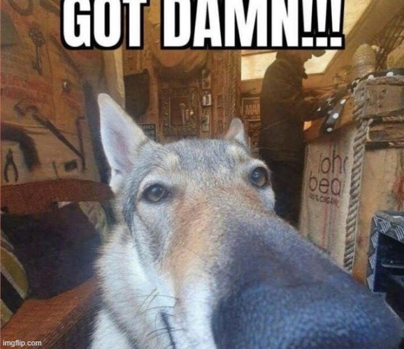 GOT DAMN! | made w/ Imgflip meme maker