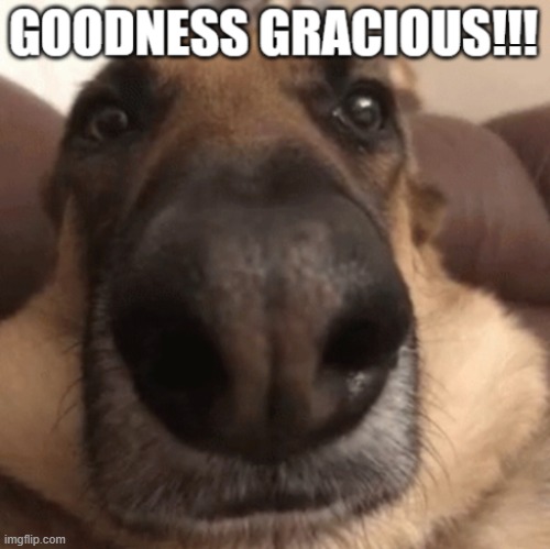 GOODNESS GRACIOUS!!! | made w/ Imgflip meme maker