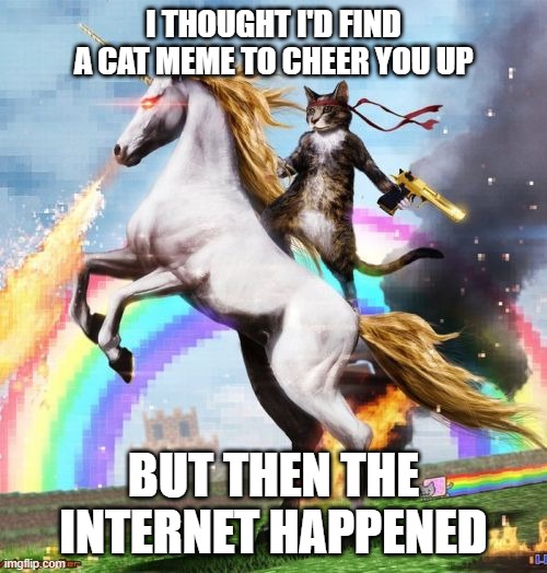 Welcome To The Internets | I THOUGHT I'D FIND A CAT MEME TO CHEER YOU UP; BUT THEN THE INTERNET HAPPENED | image tagged in memes,welcome to the internets | made w/ Imgflip meme maker
