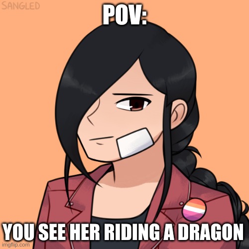 free rp, do what you want and have fun! | POV:; YOU SEE HER RIDING A DRAGON | made w/ Imgflip meme maker