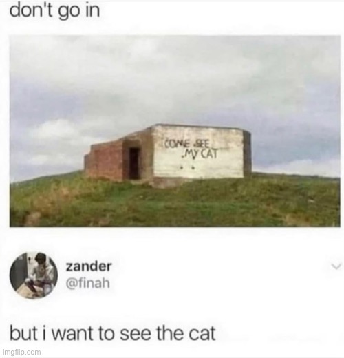 i wanna see the cat :[ | made w/ Imgflip meme maker