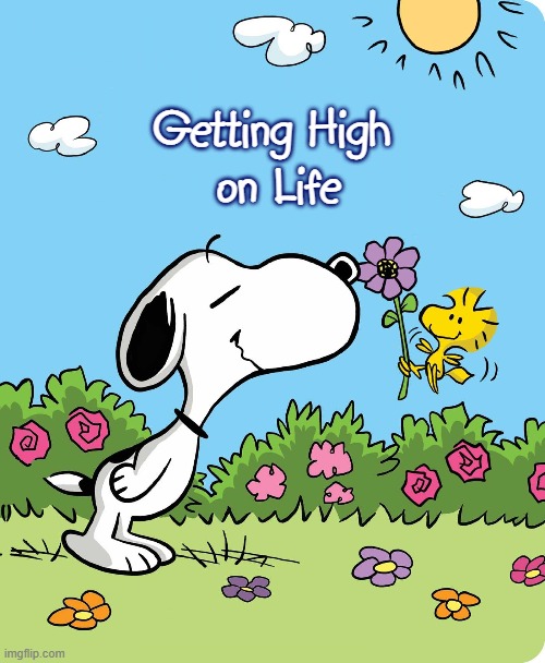 Getting High 
on Life | made w/ Imgflip meme maker