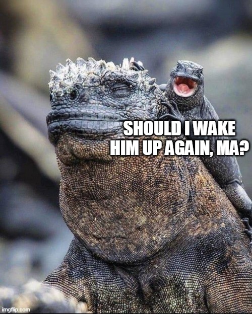 SHOULD I WAKE HIM UP AGAIN, MA? | image tagged in meme,memes | made w/ Imgflip meme maker