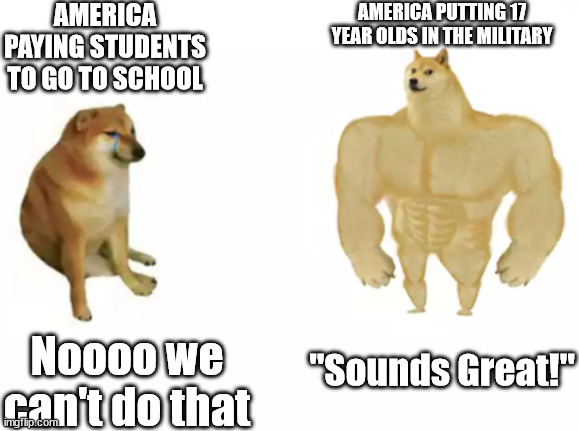 America be like | AMERICA PAYING STUDENTS TO GO TO SCHOOL; AMERICA PUTTING 17 YEAR OLDS IN THE MILITARY; "Sounds Great!"; Noooo we can't do that | image tagged in buff doge vs cheems reversed | made w/ Imgflip meme maker