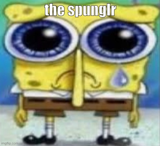 spung | the spunglr | image tagged in the spunglr | made w/ Imgflip meme maker