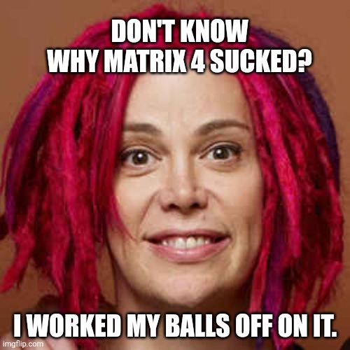 Matrix Resurrections | DON'T KNOW WHY MATRIX 4 SUCKED? I WORKED MY BALLS OFF ON IT. | image tagged in the matrix | made w/ Imgflip meme maker