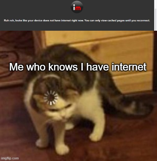 Me who knows I have internet | image tagged in loading cat,no internet | made w/ Imgflip meme maker