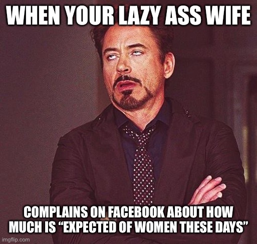 Robert Downey Jr Annoyed |  WHEN YOUR LAZY ASS WIFE; COMPLAINS ON FACEBOOK ABOUT HOW MUCH IS “EXPECTED OF WOMEN THESE DAYS” | image tagged in robert downey jr annoyed | made w/ Imgflip meme maker