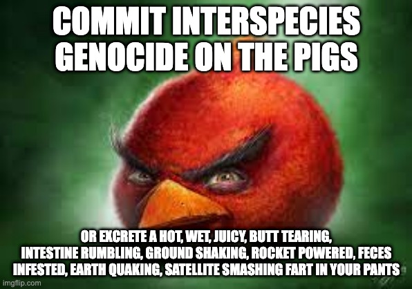 Realistic Red Angry Birds | COMMIT INTERSPECIES GENOCIDE ON THE PIGS; OR EXCRETE A HOT, WET, JUICY, BUTT TEARING, INTESTINE RUMBLING, GROUND SHAKING, ROCKET POWERED, FECES INFESTED, EARTH QUAKING, SATELLITE SMASHING FART IN YOUR PANTS | image tagged in realistic red angry birds | made w/ Imgflip meme maker