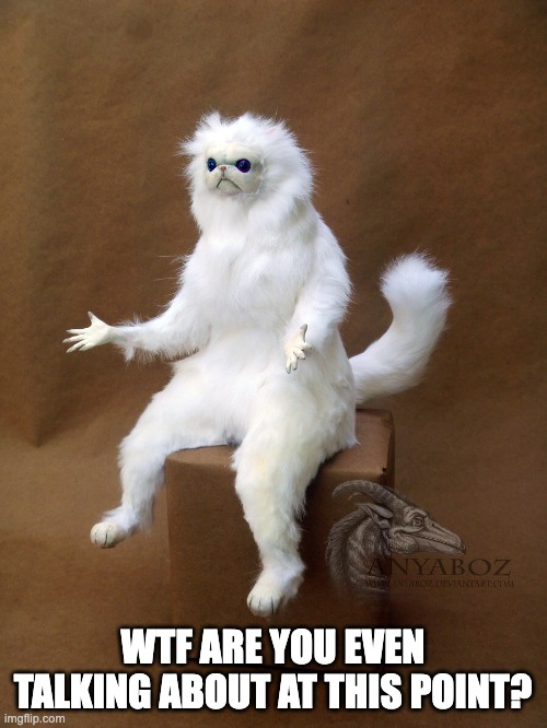 Persian Cat Room Guardian Single Meme | WTF ARE YOU EVEN TALKING ABOUT AT THIS POINT? | image tagged in memes,persian cat room guardian single | made w/ Imgflip meme maker