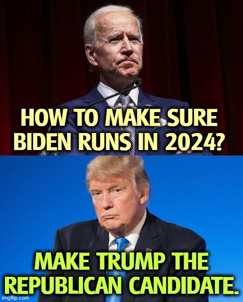 Biden wants to beat Trump again. | HOW TO MAKE SURE BIDEN RUNS IN 2024? MAKE TRUMP THE REPUBLICAN CANDIDATE. | image tagged in biden,election,win,trump,loser | made w/ Imgflip meme maker