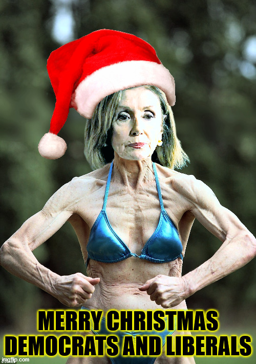 Nancy Pelosi's Christmas Gift to Chuck Schumer and ALL her good little Democrats, Liberals, and Snowflakes. | MERRY CHRISTMAS DEMOCRATS AND LIBERALS | image tagged in nancy pelosi in a bikini,christmas,eww that's just nasty,democrats,joe biden,never gonna carjack me | made w/ Imgflip meme maker