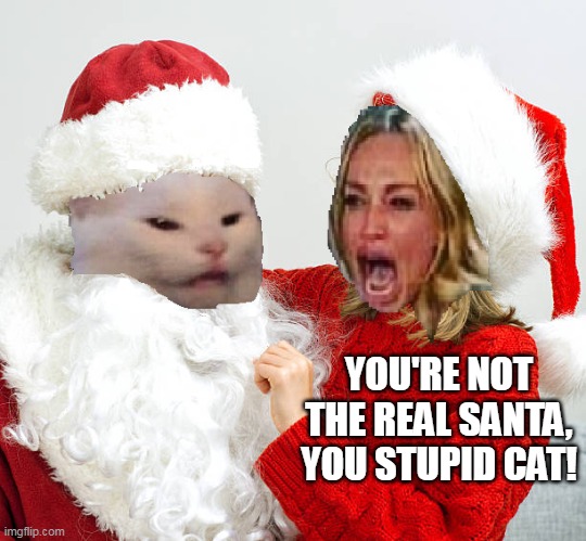 YOU'RE NOT THE REAL SANTA, YOU STUPID CAT! | image tagged in meme,memes,woman yelling at cat,smudge the cat,christmas,santa | made w/ Imgflip meme maker