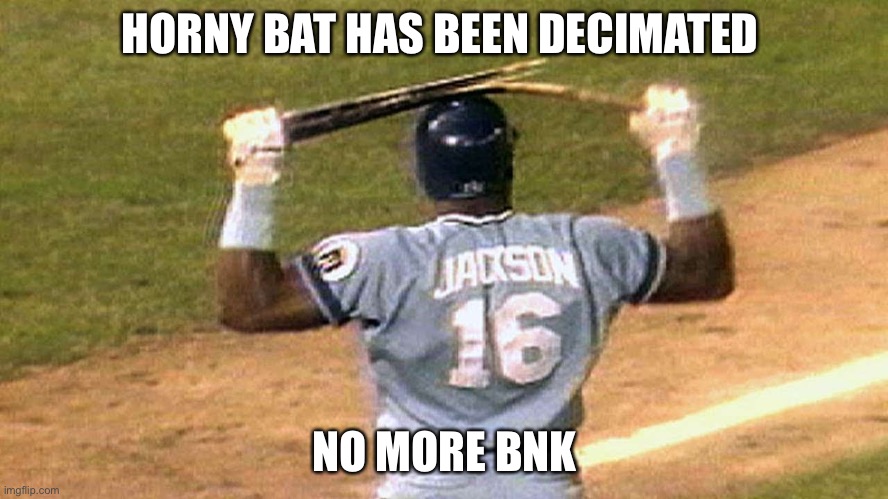 No more bonk | HORNY BAT HAS BEEN DECIMATED; NO MORE BONK | image tagged in baseball players breaking bats,yes,horny | made w/ Imgflip meme maker